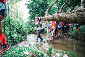 BIB: 
                            <button type="button" onclick="openModal(25471724)" class="btn btn-primary btn-sm float-right btn-popup" data-toggle="modal" data-target=".modal-high-quality">
                        <i class="fas fa-shopping-cart"></i> Add to Cart
                    </button>
                                            <button type="button" onclick="isThisMe(25471724, true)" class="btn btn-success btn-sm float-right btn-popup btn-isme hidden" data-toggle="tooltip" data-placement="bottom" title="นี่คือรูปของคุณใช่ไหม คลิกที่นี่เพื่อเอาเข้าอัลบั้ม">
                        <i class="fas fa-plus"></i> Add to album
                    </button>
                    <button type="button" onclick="isThisMe(25471724, false)" class="btn btn-warning btn-sm float-right btn-popup btn-isnotme hidden">
                        <i class="fas fa-ban"></i> Remove from album
                    </button>